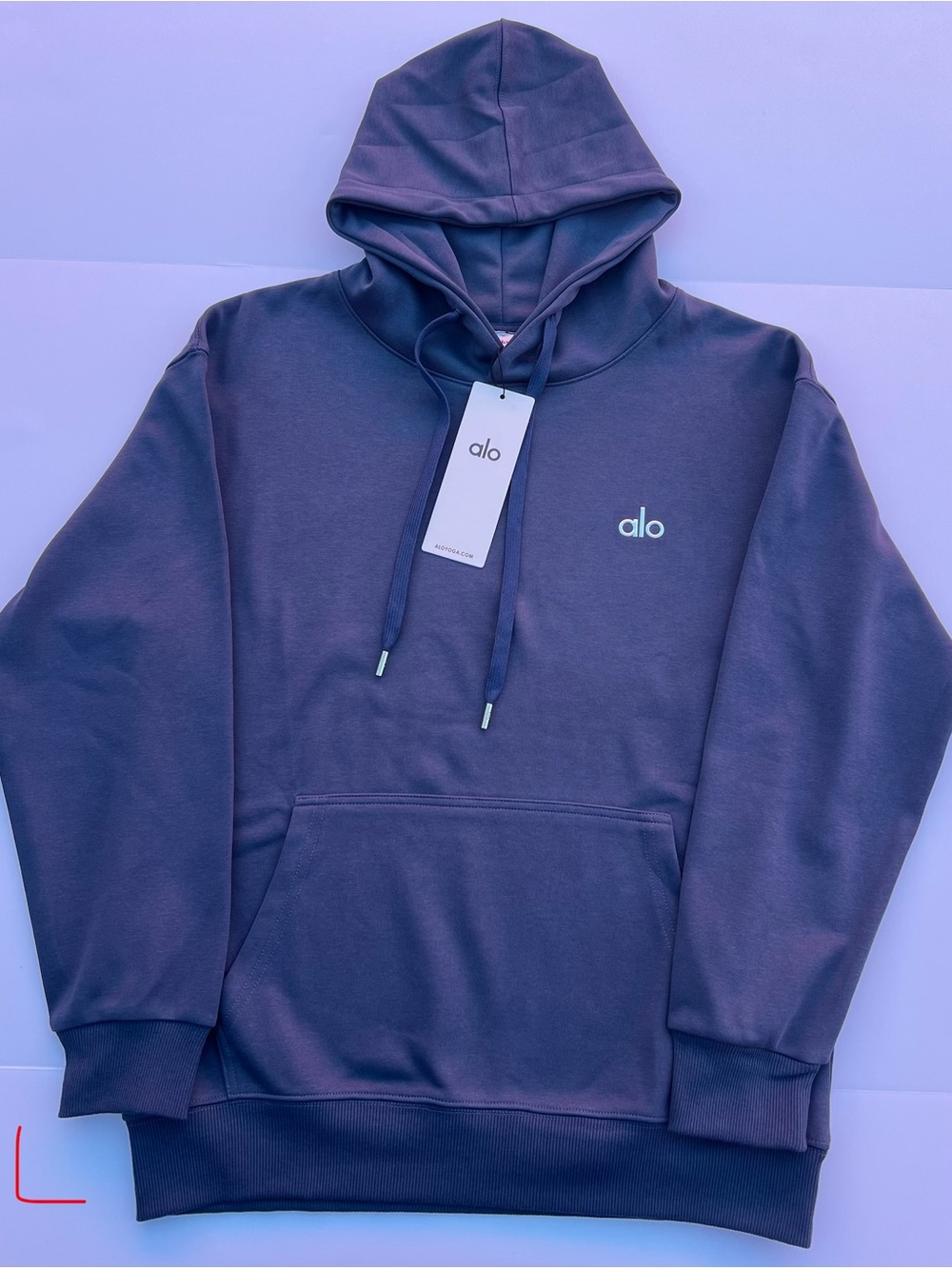 ALO Yoga Unisex Hooded Sweatshirt in Blue - Picture 1 of 1